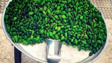 عوارض خوردن بی رویه چغاله بادام چیست؟