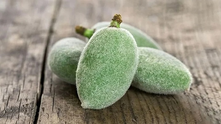 عوارض مصرف زیاد چغاله بادام عوارض مصرف زیاد چغاله بادام