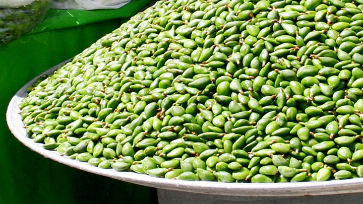 نکاتی که قبل از مصرف چغاله بادام باید رعایت کنید! نکاتی که قبل از مصرف چغاله بادام باید رعایت کنید!