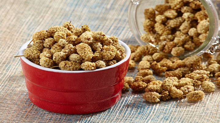 چرا باید توت خشک بخوریم؟ چرا باید توت خشک بخوریم؟