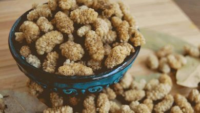 روش تهیه توت خشک با کیفیت در منزل؛ بدون سیاه شدن