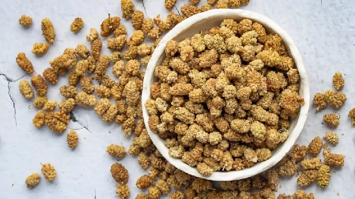 طرز تهیه توت خشک در آفتاب طرز تهیه توت خشک در آفتاب