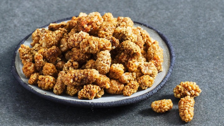 خشک کردن توت سفید در توستر خشک کردن توت سفید در توستر