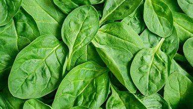 10 خاصیت شگفت انگیز اسفناج در بارداری