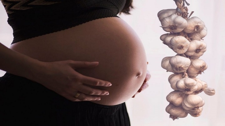 کاهش عفونت از خواص فوقالعاده سیر در بارداری کاهش عفونت از خواص فوقالعاده سیر در بارداری