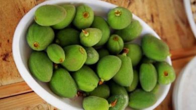 تفاوت چاقاله بادام و زردآلو