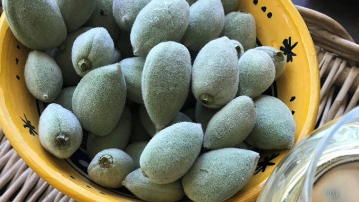 فریز کردن چغاله بادام به صورت بلانچ کردن