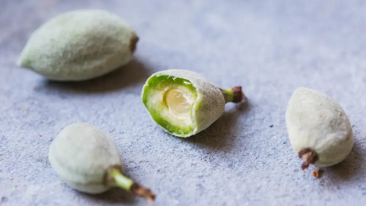 فریز کردن چغاله بادام خام