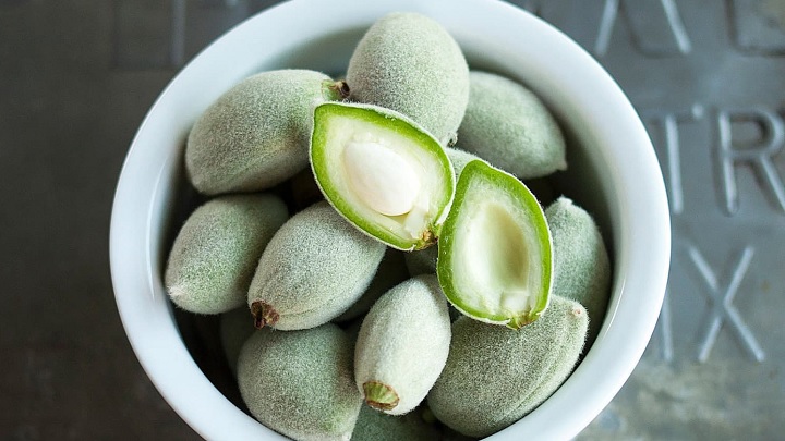 نکاتی که باید برای نگهداری چغاله بادام بدانید