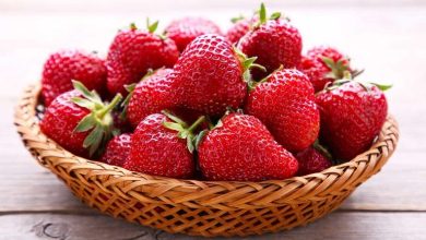 ترفندهای سالم نگه داشتن توت فرنگی به مدت طلانی