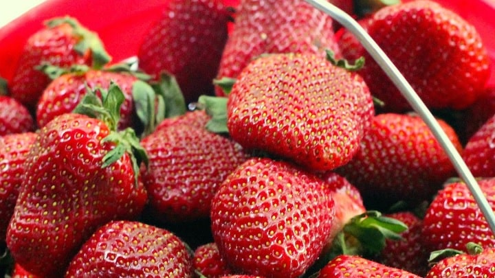 بسته بندی توت فرنگی برای نگهداری طولانی مدت آن بسته بندی توت فرنگی برای نگهداری طولانی مدت آن