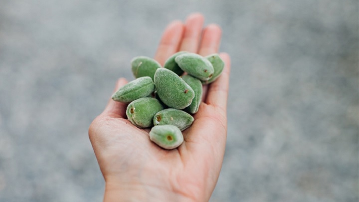 مهم‌ترین نکات شستشوی چاقاله بادام که باید بدانید