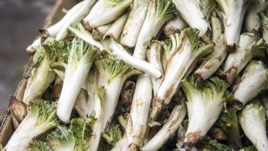 بهترین و ساده ترین روش پاک کردن کنگر کوهی