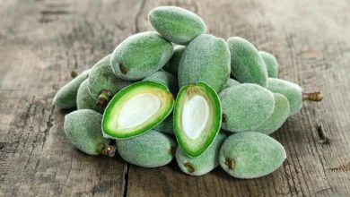 فواید و مضرات خوردن چغاله بادام برای بدن