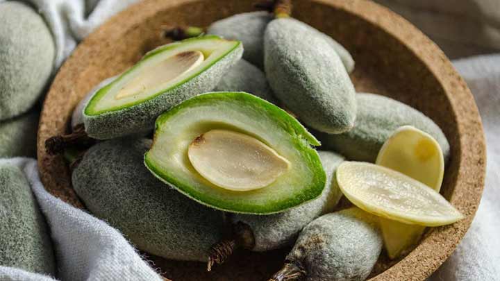 خواص چغاله بادام برای سلامتی بدن خواص چغاله بادام برای سلامتی بدن