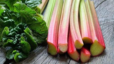 خواص ناشناخته‌ و جذاب ریواس برای سلامتی