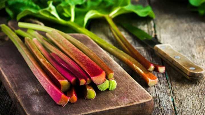 جالب ترین خواص ریواس و مضرات آن را بخوانید!