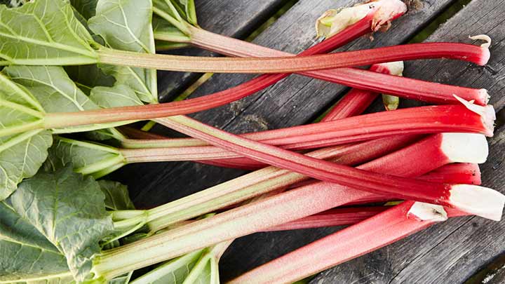 ریواس و خواص شگفت انگیز آن