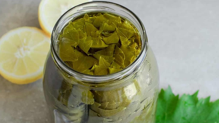 نکات و فوت و فن‌های تهیه کنسرو برگ مو خانگی