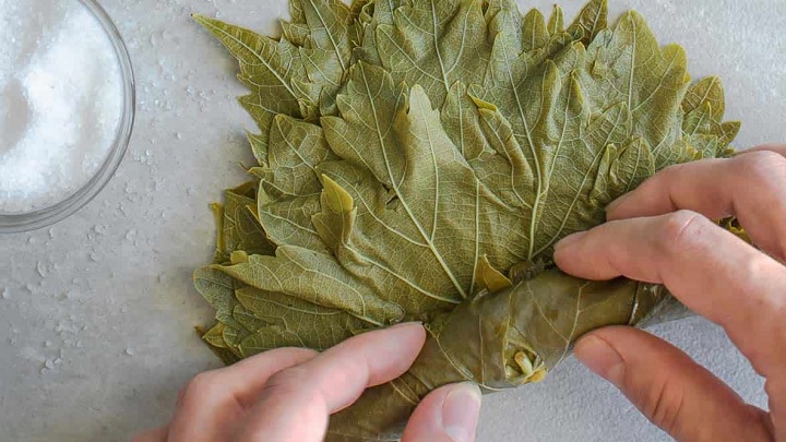 روش درست کردن کنسرو برگ مو به روش خانگی