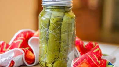 طرز تهیه کنسرو برگ مو خانگی؛ ساده و سریع