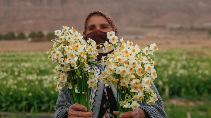 شناخت و رسیدگی فوری به علائم مسمومیت شناخت و رسیدگی فوری به علائم مسمومیت