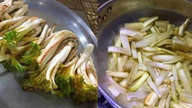 6 روش کاربردی نگهداری کنگر در یخچال و فریزر