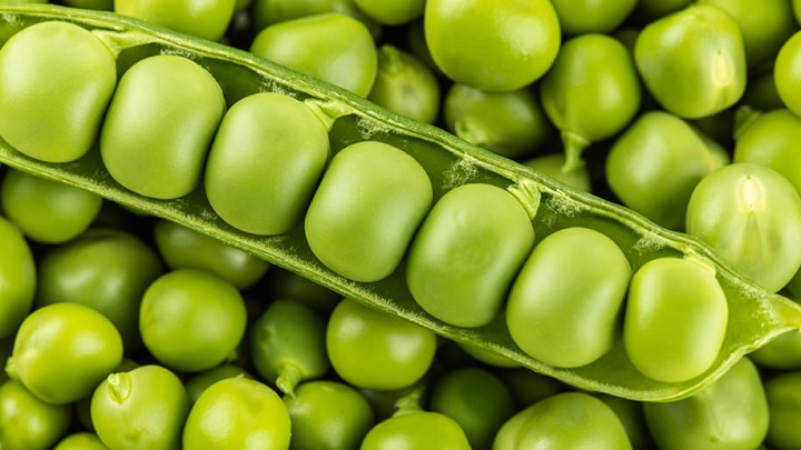 فواید نخود فرنگی برای پوست فواید نخود فرنگی برای پوست