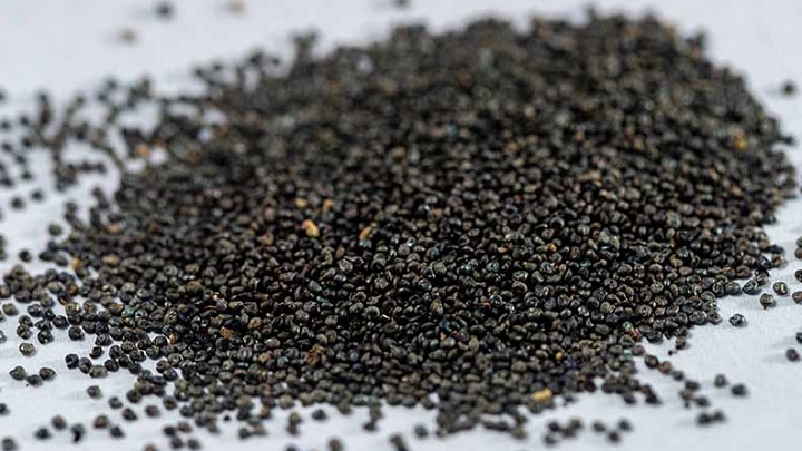 خواص تخم خرفه