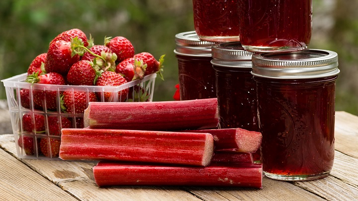 نکات و فوت و فنهای تهیه مربای ریواس نکات و فوت و فنهای تهیه مربای ریواس