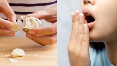 روش‌های ساده و کاربردی برای از بین بردن بوی سیر