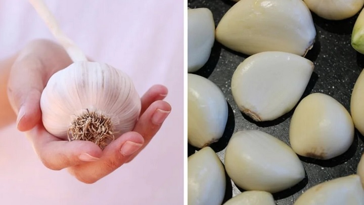 خواص سیر برای لاغری خانم ها خواص سیر برای لاغری خانم ها