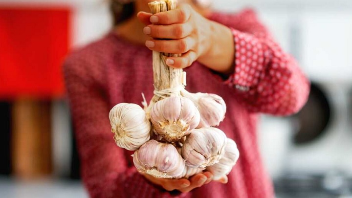 مهمترین خواص سیر برای خانمها مهمترین خواص سیر برای خانمها