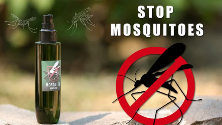 محصولات از بین برنده حشرات تارومار