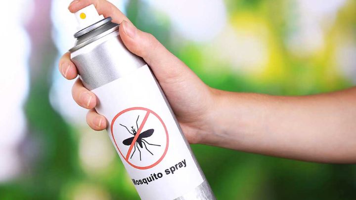 نکات مهم در رابطه با خرید محصولات از بین برنده حشرات