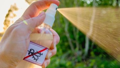 معرفی محصولات از بین برنده حشرات خانگی