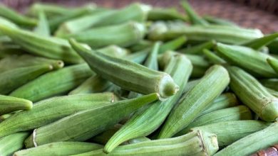 کالری بامیه سبز