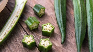 با مهم‌ترین خواص بامیه برای دیابت آشنا شوید