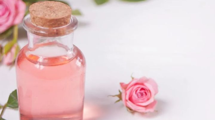 مرطوب کننده لب از خواص گلاب برای پوست مرطوب کننده لب از خواص گلاب برای پوست