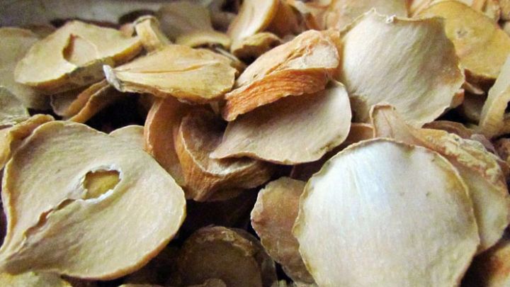 کاهش درد و التهاب از مهمترین خواص موسیر کاهش درد و التهاب از مهمترین خواص موسیر