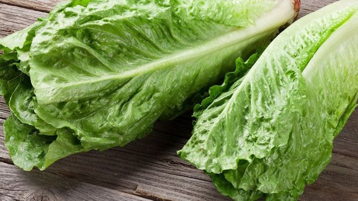 برگ کاهو از بهترین جایگزینهای سالم برای نان برگ کاهو از بهترین جایگزینهای سالم برای نان