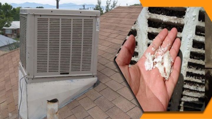 نابودی شوره و رسوب کولر!  نابودی شوره و رسوب کولر!