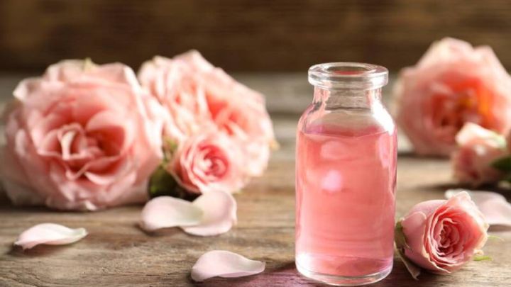 مضرات گل محمدی مضرات گل محمدی