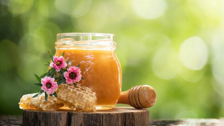 ارتباط عسل و دیابت؛ عسل قند خون را بالا میبرد؟ ارتباط عسل و دیابت؛ عسل قند خون را بالا میبرد؟