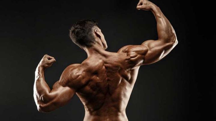 ماهی تن از مواد غذایی مفید برای کمک به عضله سازی ماهی تن از مواد غذایی مفید برای کمک به عضله سازی