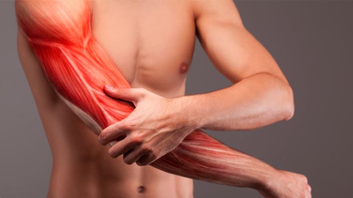 اسفناج از مواد غذایی مفید برای کمک به عضله سازی اسفناج از مواد غذایی مفید برای کمک به عضله سازی