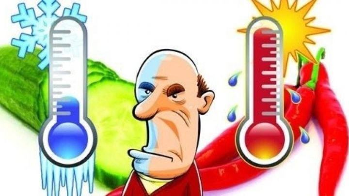 همه چیز در مورد بلغم همه چیز در مورد بلغم