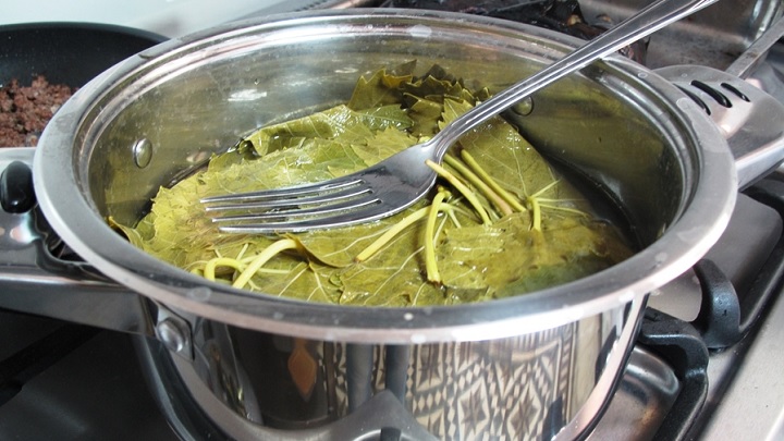 کنسرو کردن برگ مو