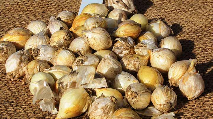 نکاتی برای استفاده از موسیر در آشپزی نکاتی برای استفاده از موسیر در آشپزی