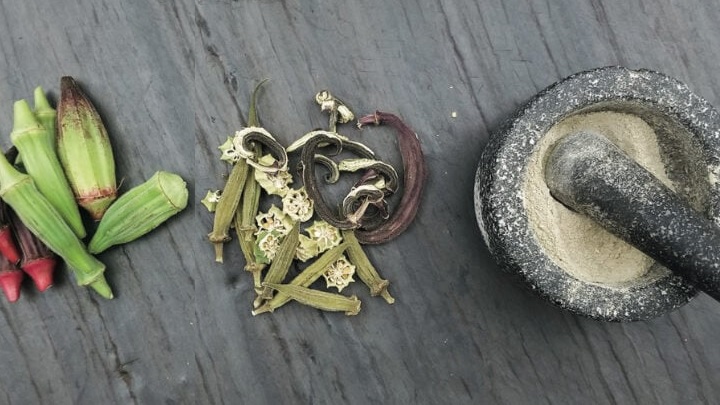 مراحل تهیه پودر بامیه خشک شده مراحل تهیه پودر بامیه خشک شده